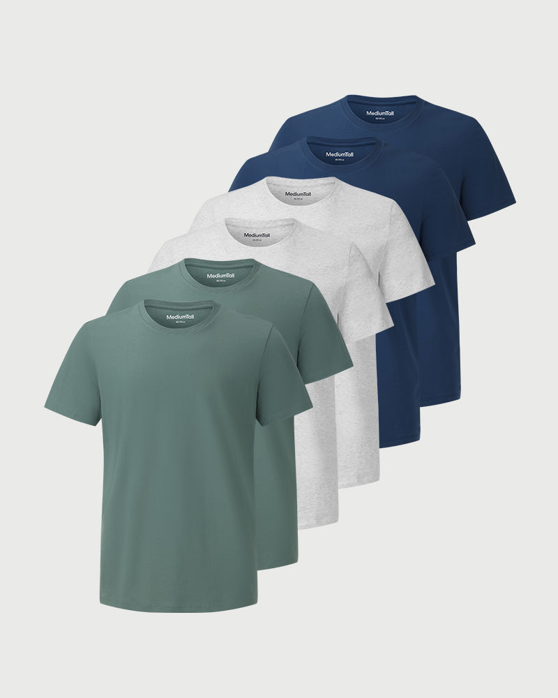 6pk Elementær 2.0 Summit